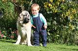 ENFANT ET CHIEN 599